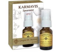 Karmavis Spearmint integratore per l'alitosi spray 15ml