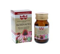 WINTER ECHINACEA 30CPS