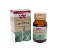 WINTER EQUISETO 30CPS