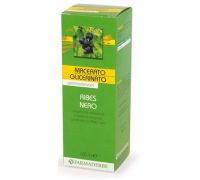 Ribes Nero  macerato glicerico di gemme di ribes nigrum 100ml
