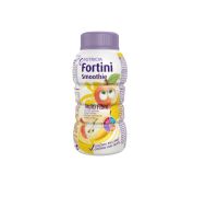 FORTINI SMOOTHIE MF FRUTTI GI