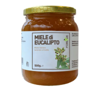 Forlive miele di eucalipto 500 grammi