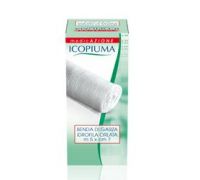 BENDA ICOPIUMA ORLATA 20 5X7CM