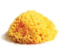 Spugna naturale mediterraneo misura 14 