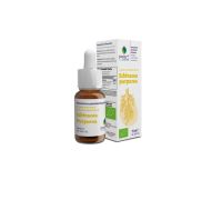 Psc Echinacea Purpurea integratore immunostimolante occe orali 15ml