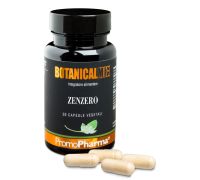 Botanicalmix Zenzero integratore per la digestione 50 capsule
