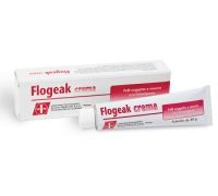 FLOGEAK CREMA 40G