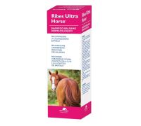 Ribes ultra horse shampoo dermatologico 1000ml