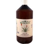 Aloe Arborescens puro succo al 100% 1 litro