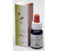 EIE EQUISETO 30ML GTT