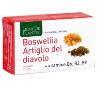 Boswellia Artiglio del Diavolo integratore per la funzione articolare 60 capsule