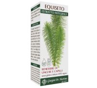 Equiseto estratto integrale integratore per il benessere di unghie e capelli soluzione orale 200ml
