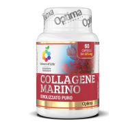 Collagene Marino integratore per il benessere di pelle e articolazioni 60 capsule