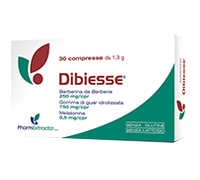 DIBIESSE 30CPR