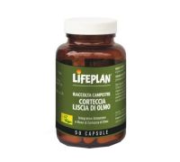 Corteccia Liscia di Olmo integratore per il benessere intestinale 50 capsule