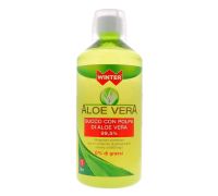 WINTER ALOE VERA SUCCO CON POLPA 1LT