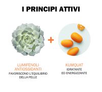 Jowae Crema Maschera Viso Idratante Energizzante Rigenerante Notte 40 ml