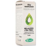 Melaleuca olio essenziale puro 10ml