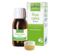 Ficus Carica gemme benessere intestinale macerato glicerinato 60ml