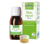 RIBES NIGRUM BOI MG 60ML INT