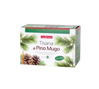Naturplus tisana al pino mugo per il benessere di naso e gola 20 filtri
