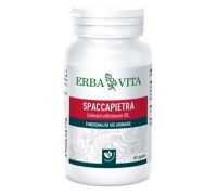 Spaccapietra integratore per il benessere delle vie urinarie 60 capsule