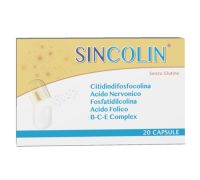 Sincolin integratore per la funzione cerebrale 20 capsule