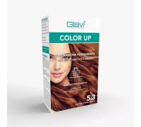 GIAVI' COLOR UP 5.3 CASTANO CHIARO DORATO