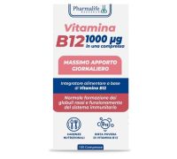 Vitamina B12 integratore a base di vitamine del gruppo B 100 compresse