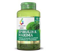 Spirulina Maxima integratore tonico ricostituente 120 compresse