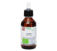 Olivo bio macerato glicerico 100ml
