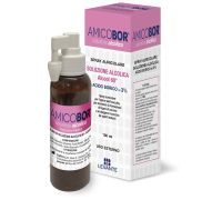 Amicobor spray auricolare soluzione alcolica per irrigazione dell'orecchio 100ml