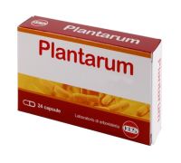 Plantarum integratore a base di fermenti lattici 24 capsule