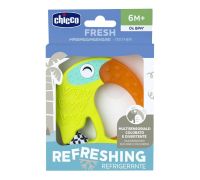 CH MASSAGGIA FRESH FUNNY 6M+