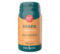 MACA 60CPS