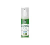 ALLGA SAN SPIRITO GALLICO SPRAY 100ML