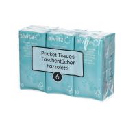 Alvita fazzoletti di carta 6 confezioni 10 pezzi