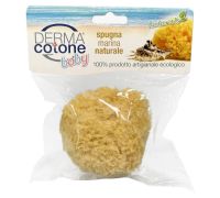 Dermacotone spugna marina