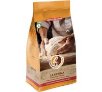 Riccione farina per pane pizza e pinsa senza glutine 1kg