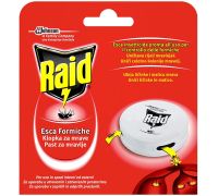 Raid esca formiche per spazi interni ed esterni 1 pezzo