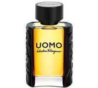 Ferragamo Uomo eau de toilette natural spray 100ml