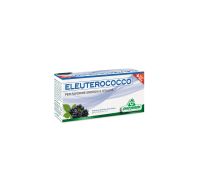 ELEUTEROCOCCO 12FLX10ML