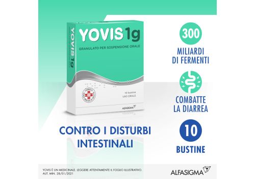 YOVIS 1 GRAMMO FERMENTI LATTICI 10 BUSTE