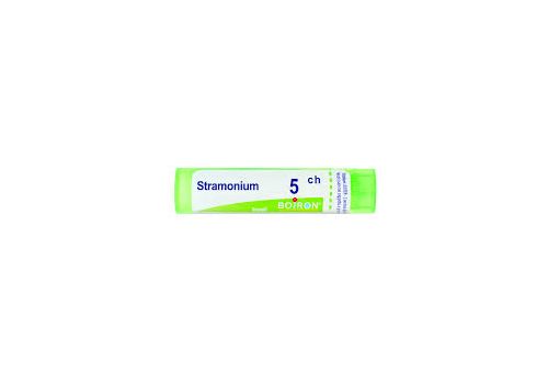 Stramonium 5ch 80 granuli 4 grammi
