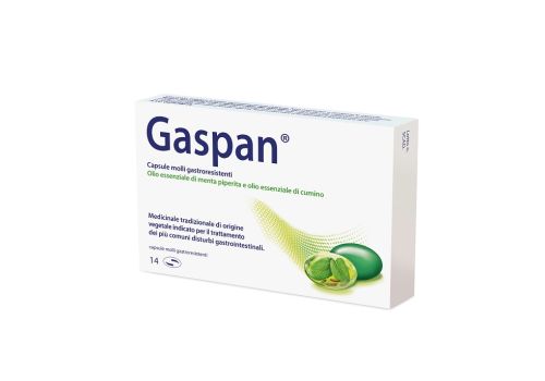 GASPAN 14 CAPSULE MOLLI GASTRORESISTENTI