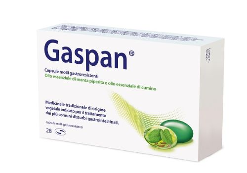 GASPAN 28 CAPSULE MOLLI GASTRORESISTENTI
