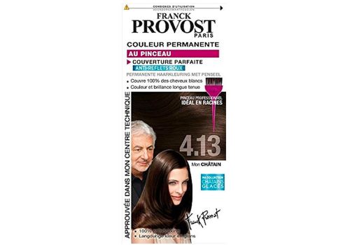 Colore Professionale Copertura Perfetta 4.13 Castano Naturale