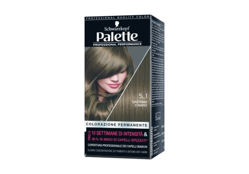 Palette Professional Performance Colorazione Permanente 5.1 Castano Chiaro
