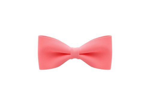 Becco con Fiocco Rosa Salmone 1pz