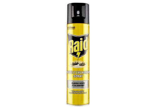 Raid vespe e calabroni insetticida spray 400ml